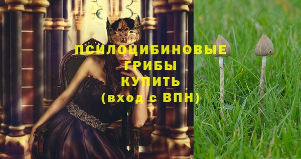 МДМА Новозыбков