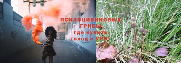 СК Алексин