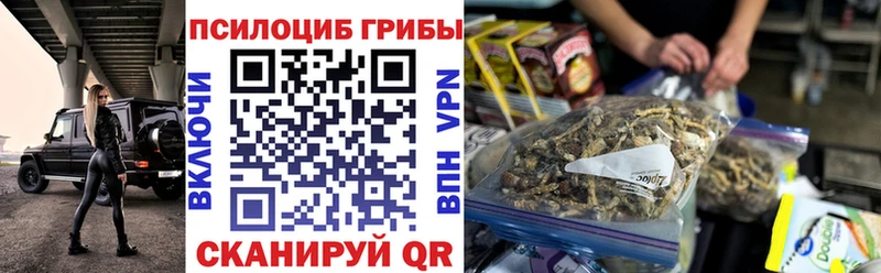 Галлюциногенные грибы мицелий  как найти   Райчихинск 